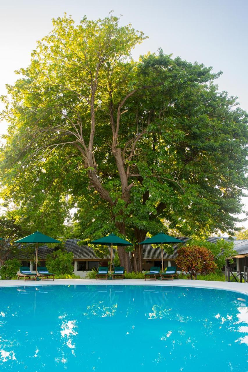 Equator Village Resort Addu City Exterior foto
